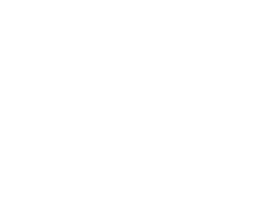 USA: CMT