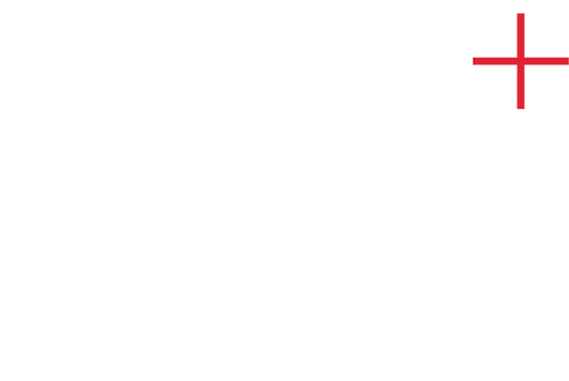 CZ: Crime And Investigation