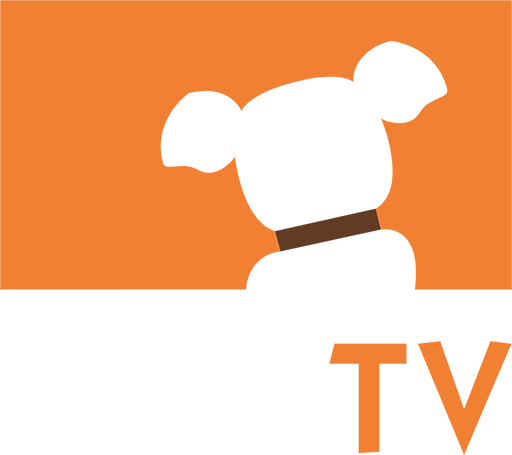 USA: DOG TV