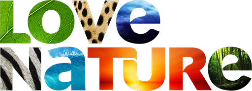CA: Love Nature