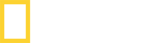 TR: NATIONAL GEO WILD