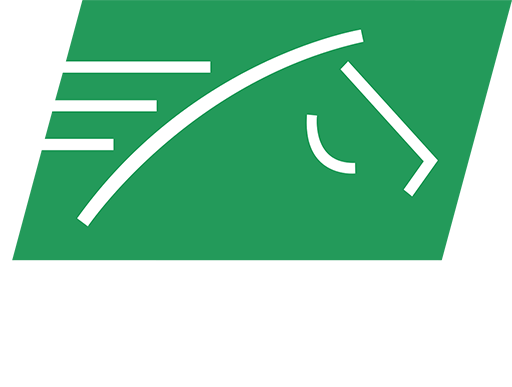 USA: TVG